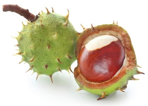 Varicone contains horse chestnut