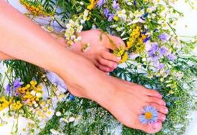Medicinal plants are effective in the early stages of varicose veins